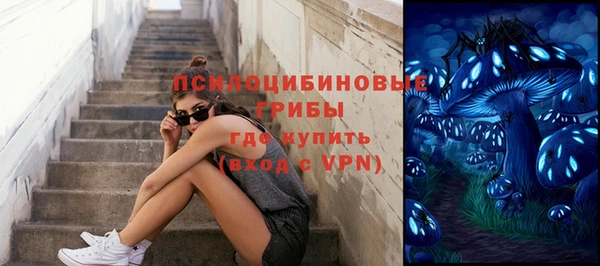 сатива Ладушкин